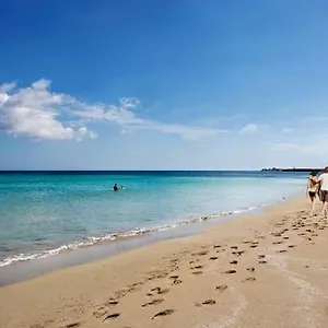 Casa Maracaibo , Reitani Italia